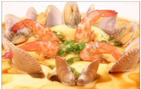 鲜虾文蛤蒸水蛋图片