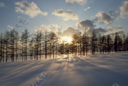冬日出图片