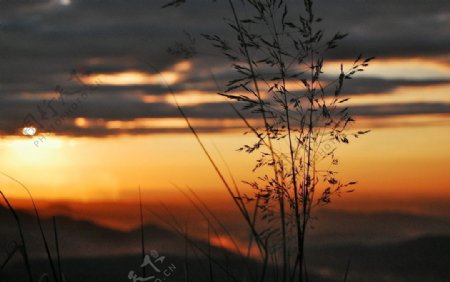 夕阳天空草图片