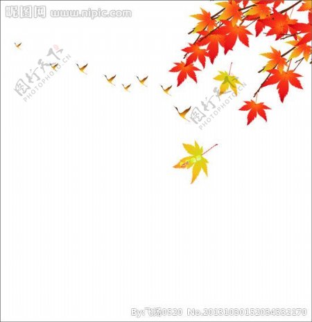 秋天橱窗图片