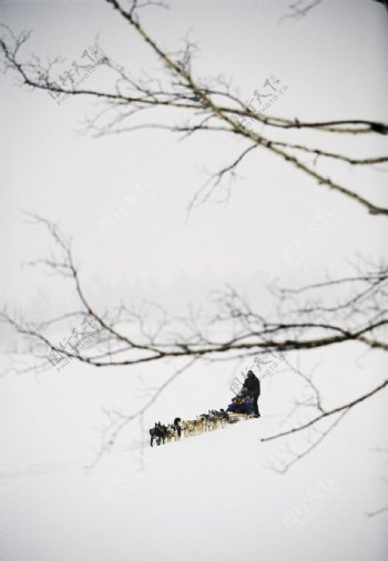 冬季雪景高清图片