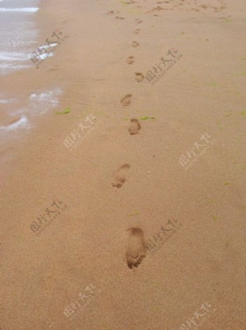 沙滩脚丫印图片