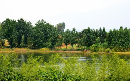 竹溪图片