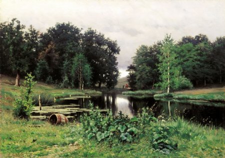 池塘风景图片