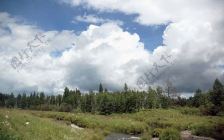 小溪白桦松林气势磅礴的云图片