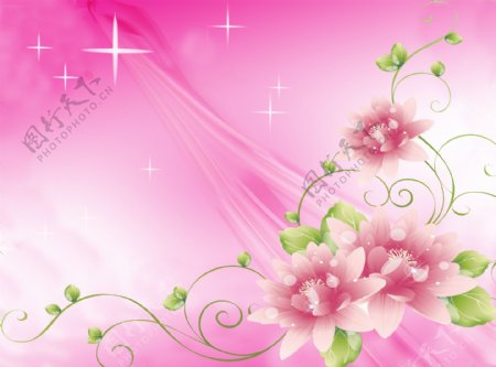 粉色花朵背景图片