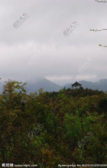 重庆仙女山风景图片