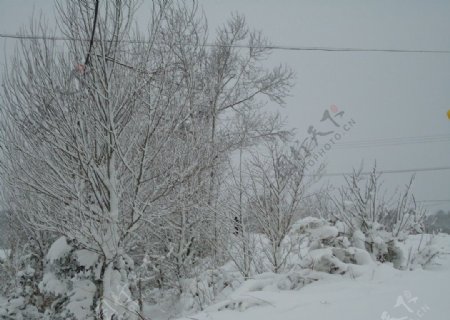 雪景图片