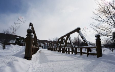 白雪覆盖的木桥图片