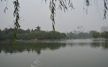 兴庆内湖图片