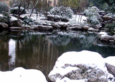 雪后池塘图片