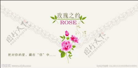 玫瑰之约图片