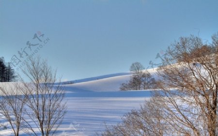 雪地风光图片