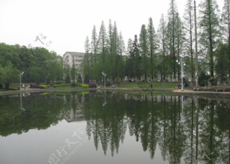 湖南农业大学校园风景图片