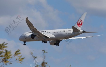 日本航空波音787图片