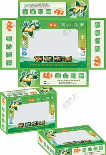 绿色枇杷礼盒图片