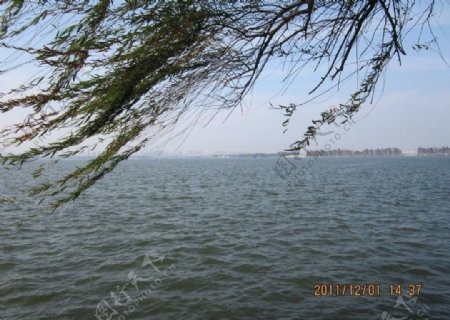 东湖图片