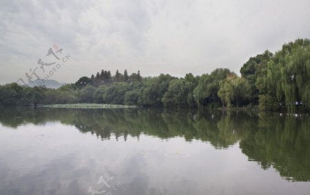 湖水树木倒影图片