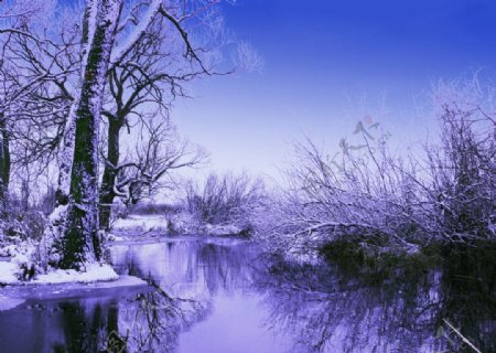 冬天河流图片