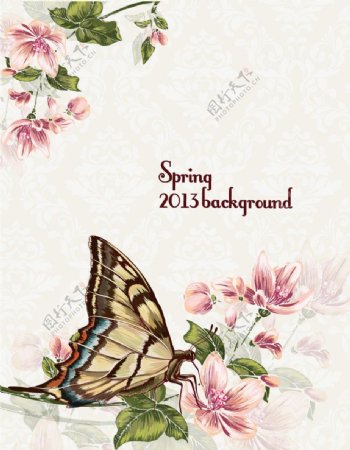 春天鲜花蝴蝶图片