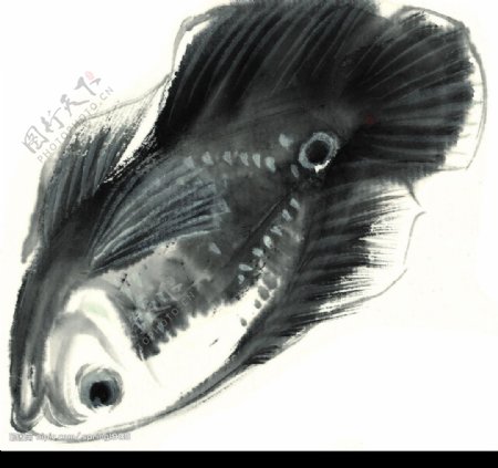 水墨风格的鱼图片