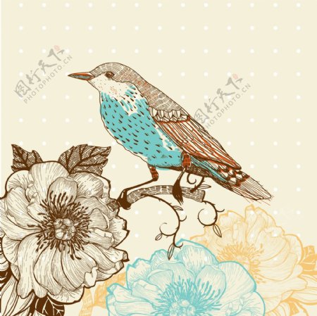 古典花纹花卉小鸟背景底纹图片