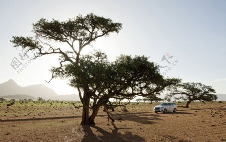 奔驰越野车非洲之旅图片