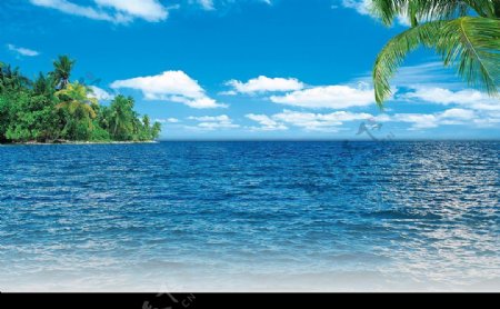 蓝天白云椰子海景图片