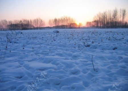 漠北冬雪图片