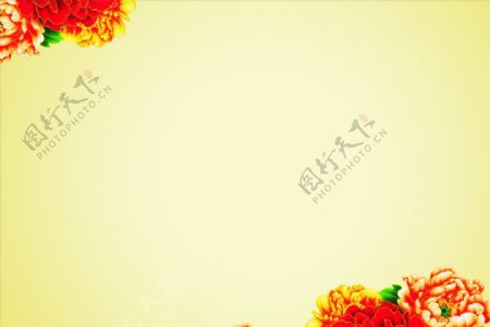 花卉背影图图片