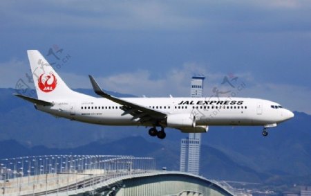 日本航空新塗装图片