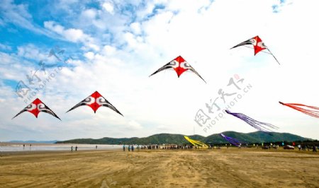 岱山全国风筝锦标赛图片
