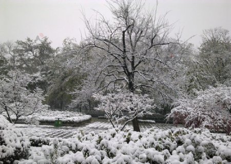 雪景图片