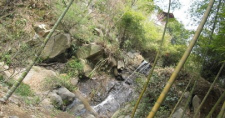 竹林山水图片