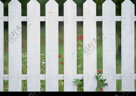 篱笆图片