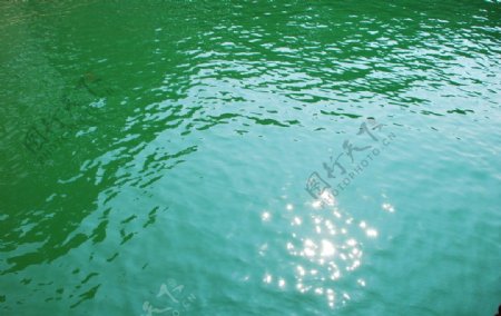 西湖水之光影图片