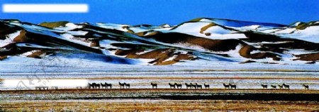 新疆大地千里冰封图片