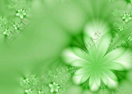 日式绿色花语图片