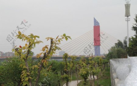 贺州新建大桥图片