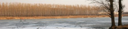 冬日河畔图片