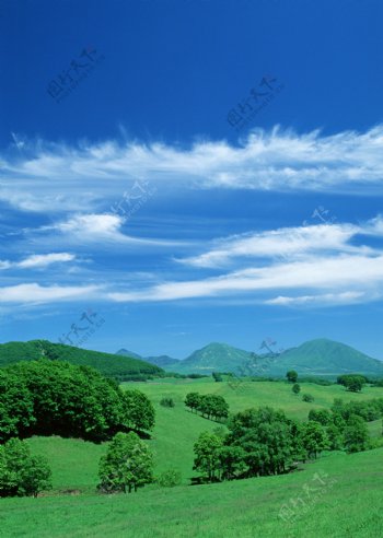 蓝天白云绿地图片