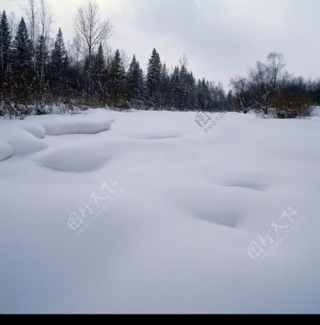 冬景厚厚的白雪图片
