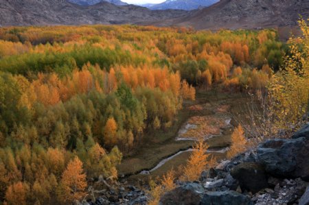 新疆伊犁富蕴如画美景1图片