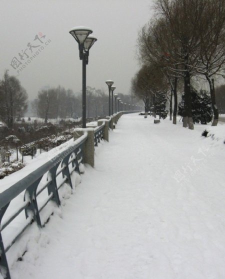 江城冬雪图片