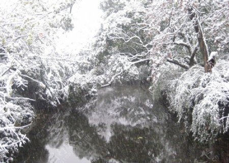 杭州雪景图片