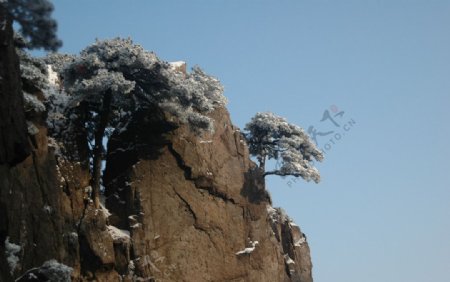 黄山雪景图片