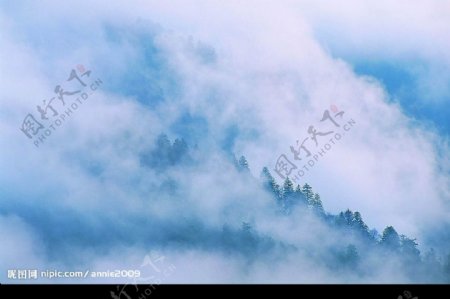 云雾仙境图片