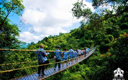 槟榔谷雨林吊桥图片
