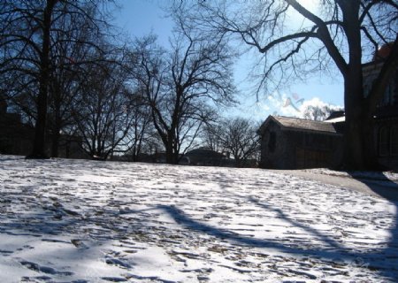 多伦多雪景图片