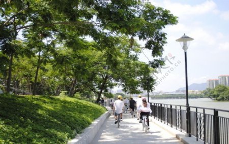 肇庆全国最美绿道图片